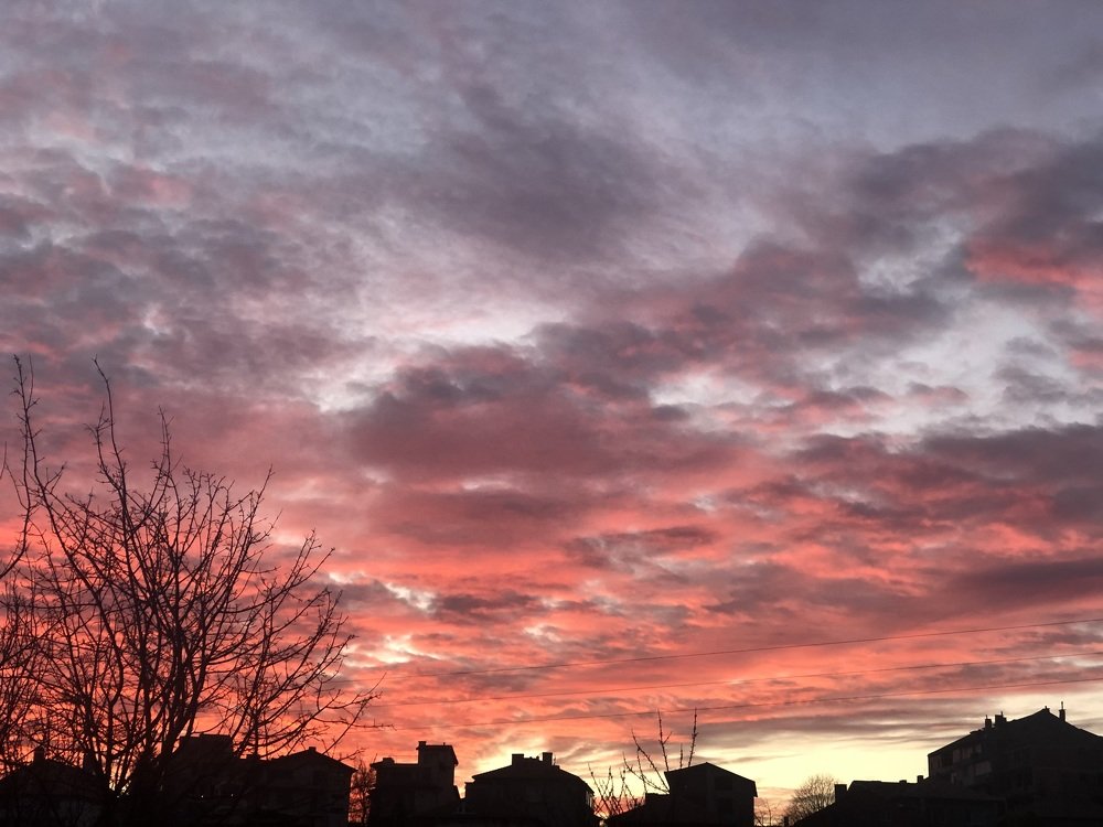 Photograph by Nadia Velikova