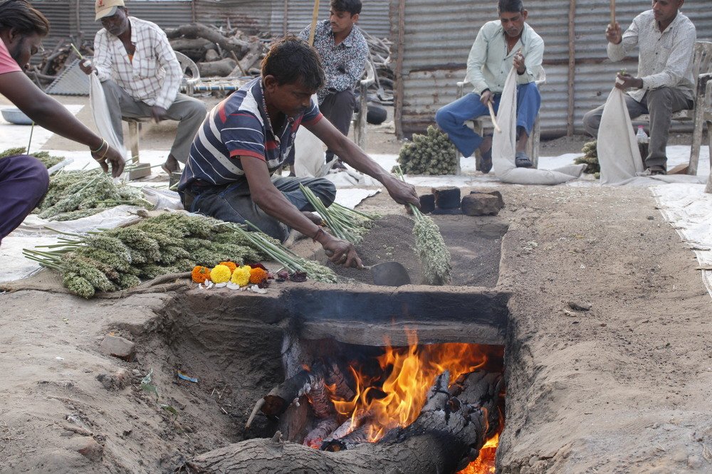 Фотография автора Pranay Shah