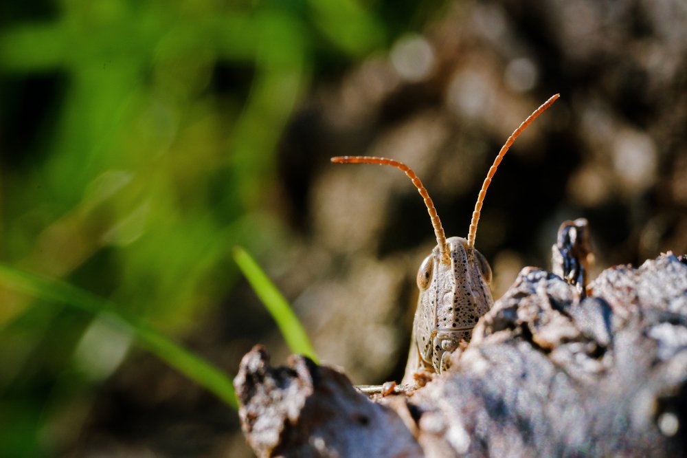 Photograph by Артур Колокольцов