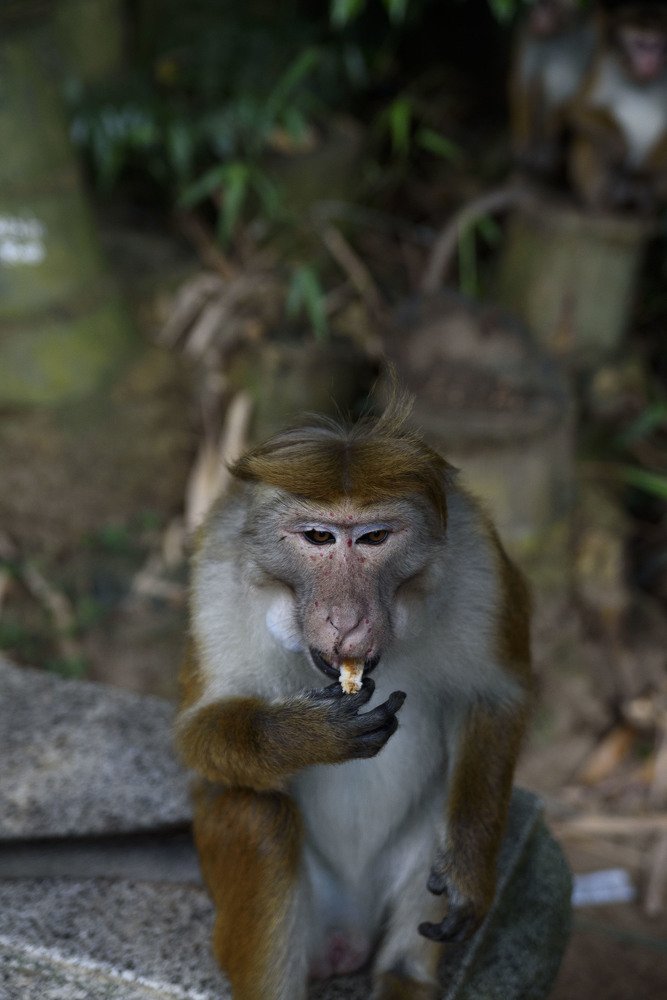 Photograph by Романенко Юлия