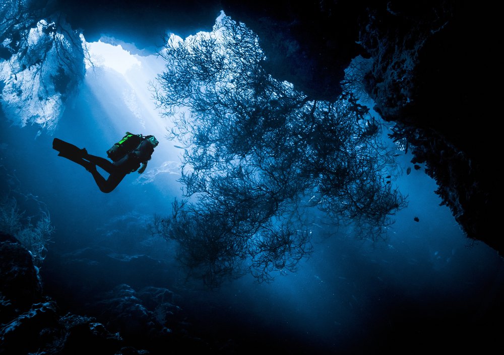 Фотография автора Димитрий Евтушик