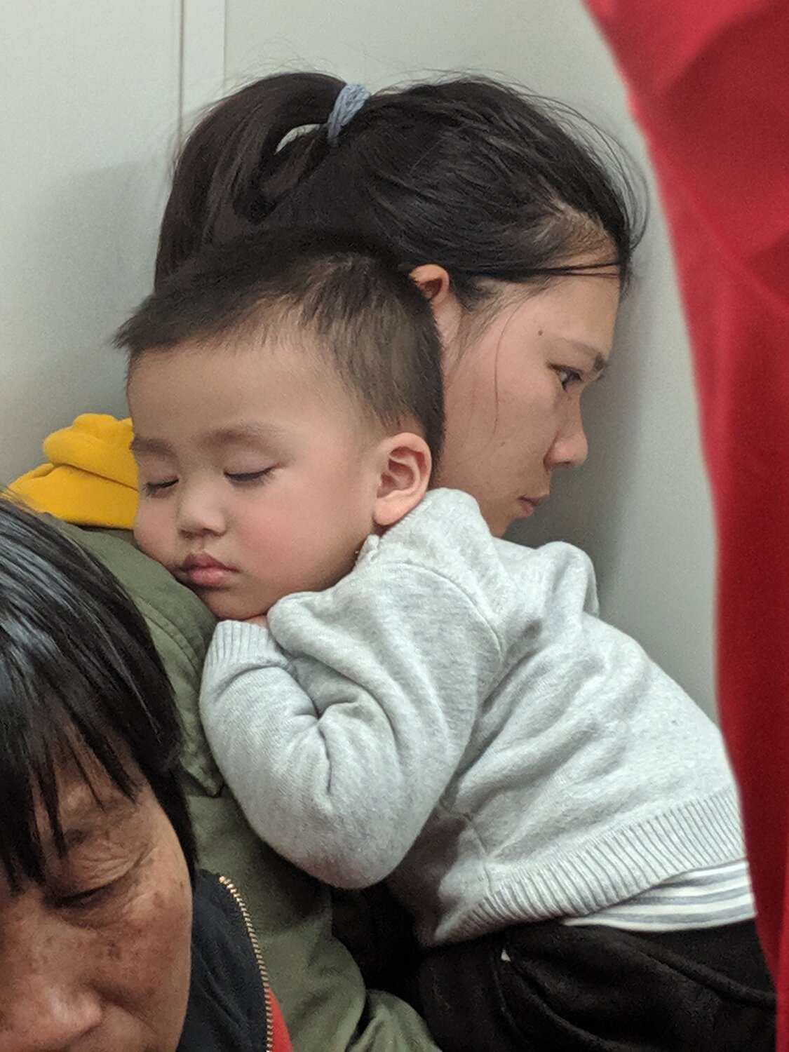Photo #4161966