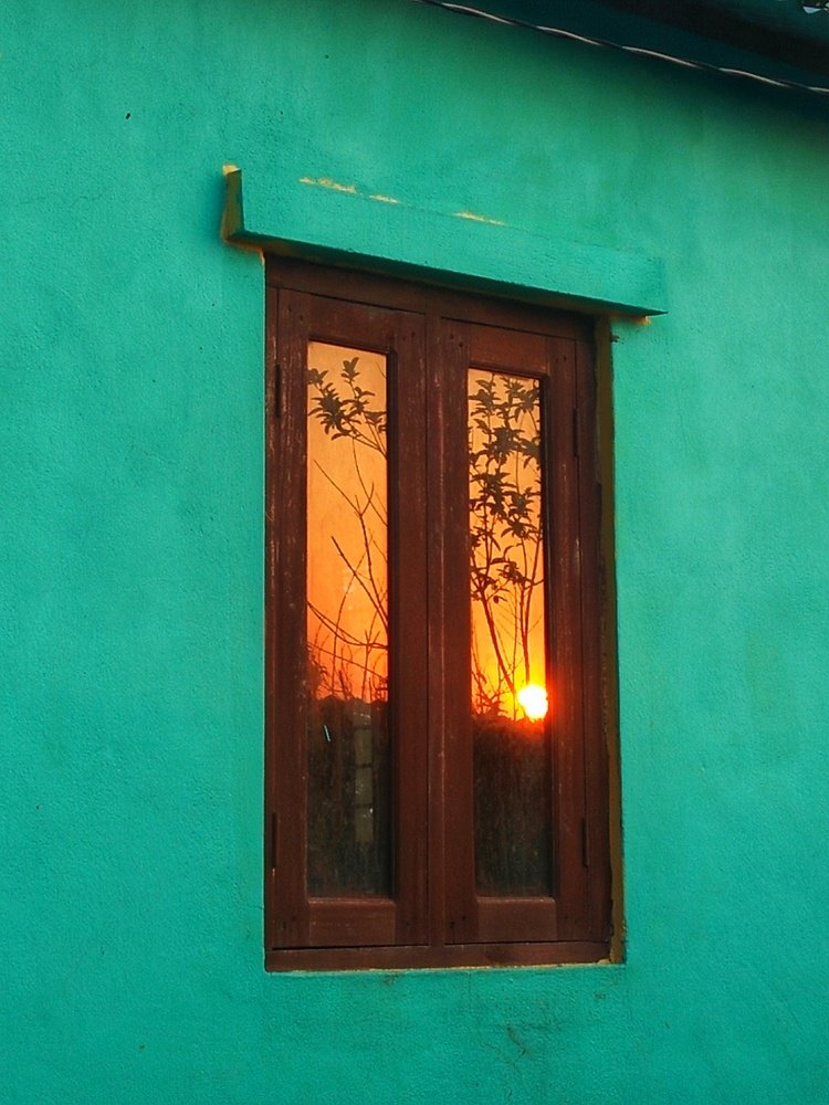 Reflection