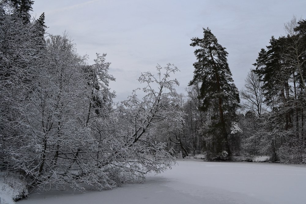 Photograph by александр фетисов