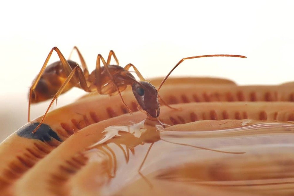 Photograph by Miona Lee