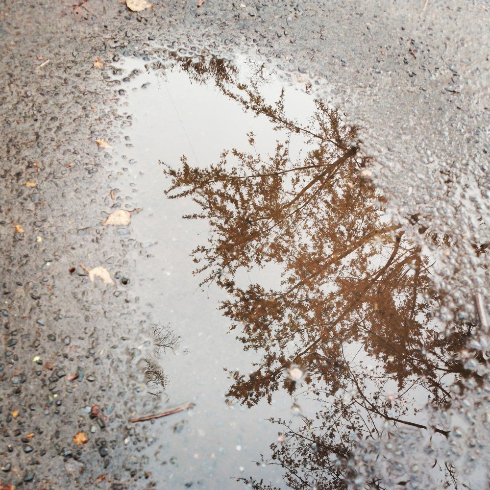 Photograph by Александр Костин