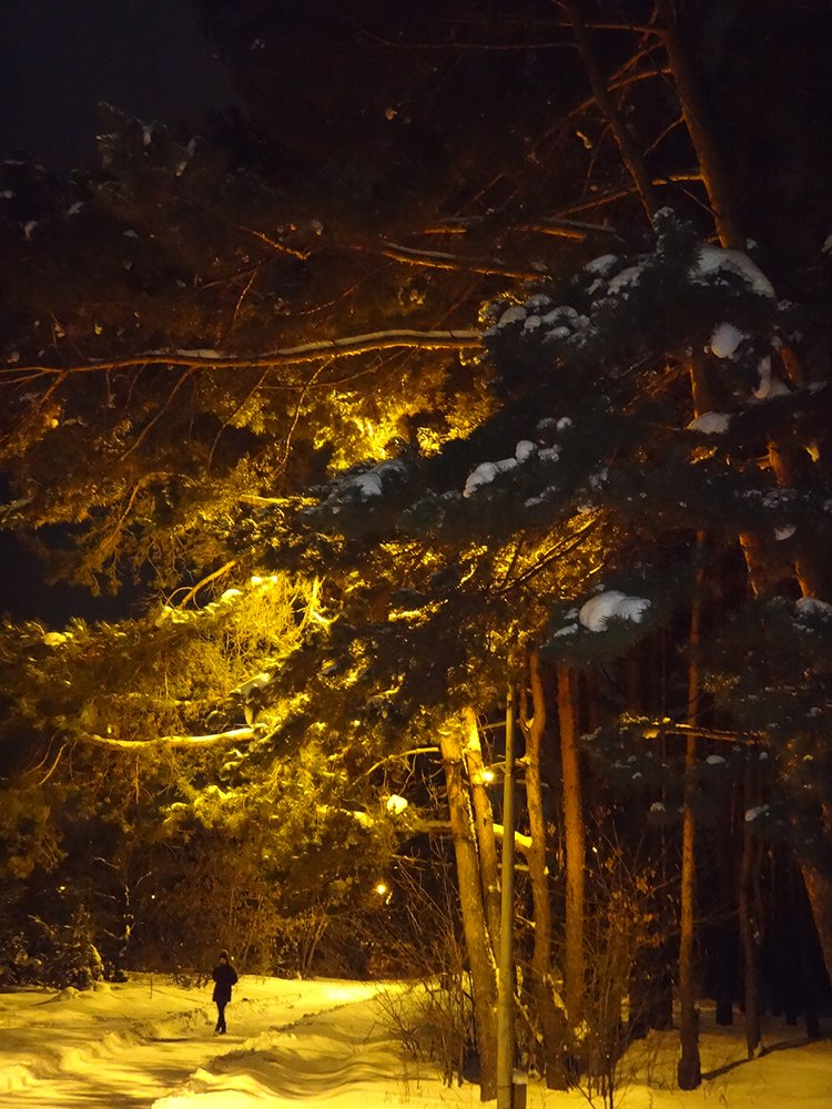 Photograph by Игорь Пшеничников