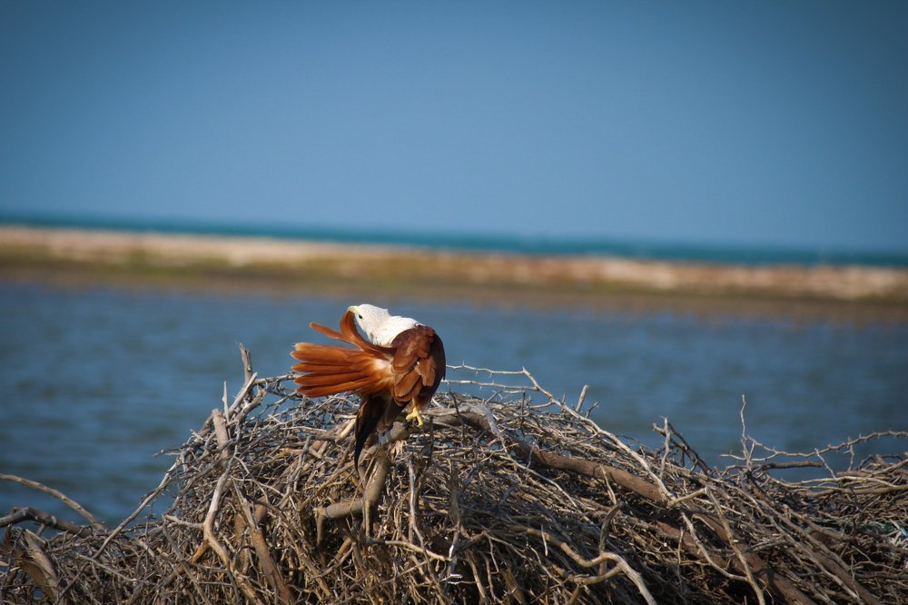 Photograph by Venki Venkatesh