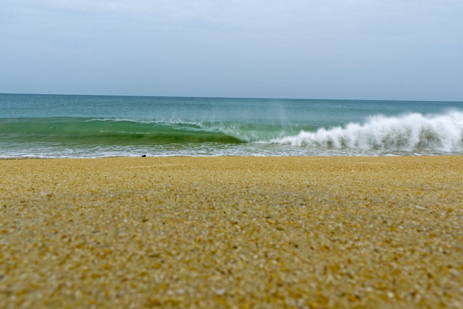 Photo #4162323
