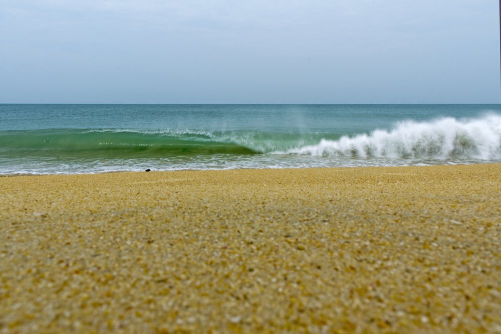 Photograph by Shreeharan Rajasingham