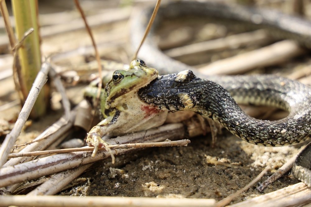 Photograph by Valerii