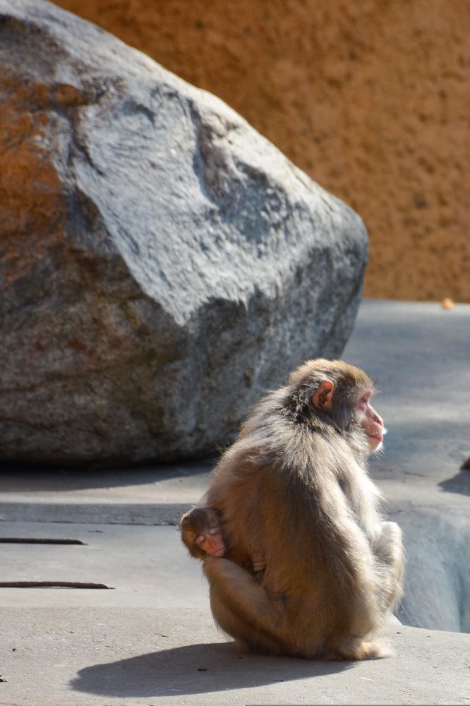 Photograph by Юлия Маврина