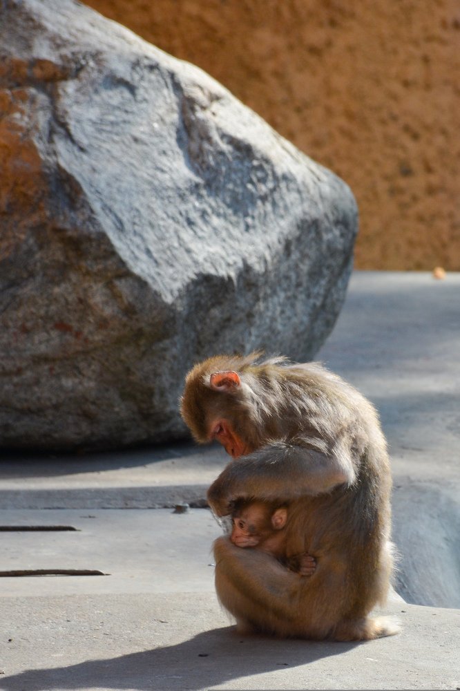 Photograph by Юлия Маврина