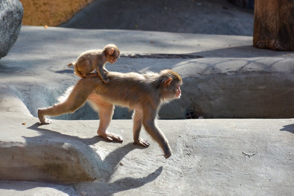 Photograph by Юлия Маврина