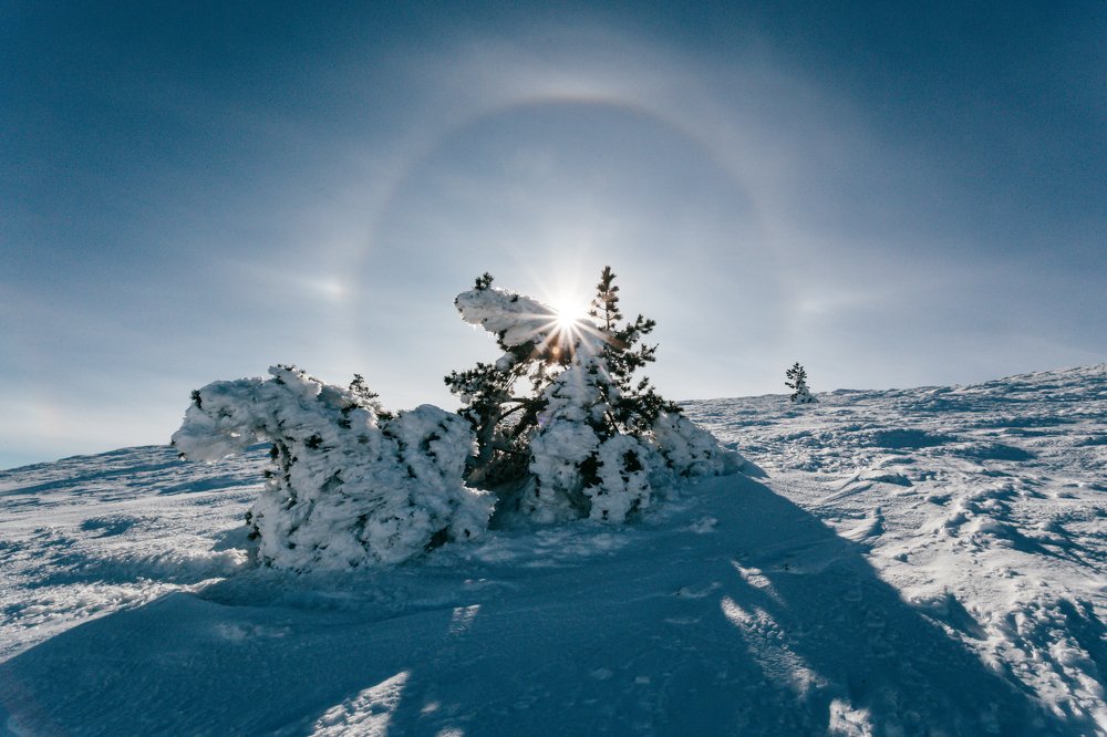 Photograph by Константин Аношин