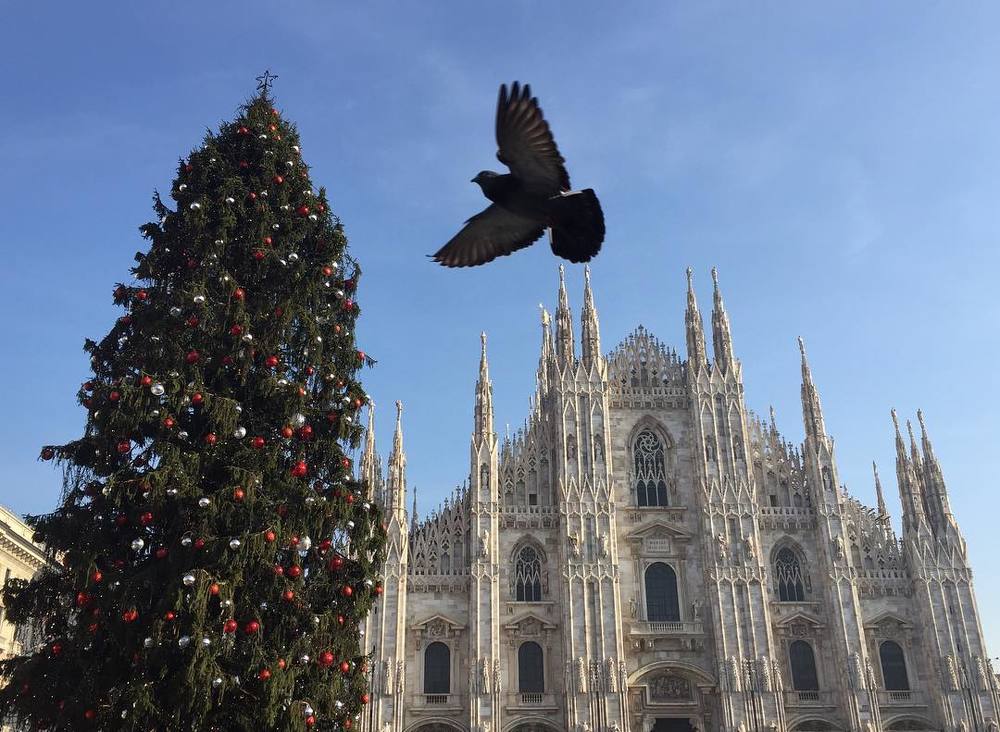 Photograph by Екатерина Абраменко