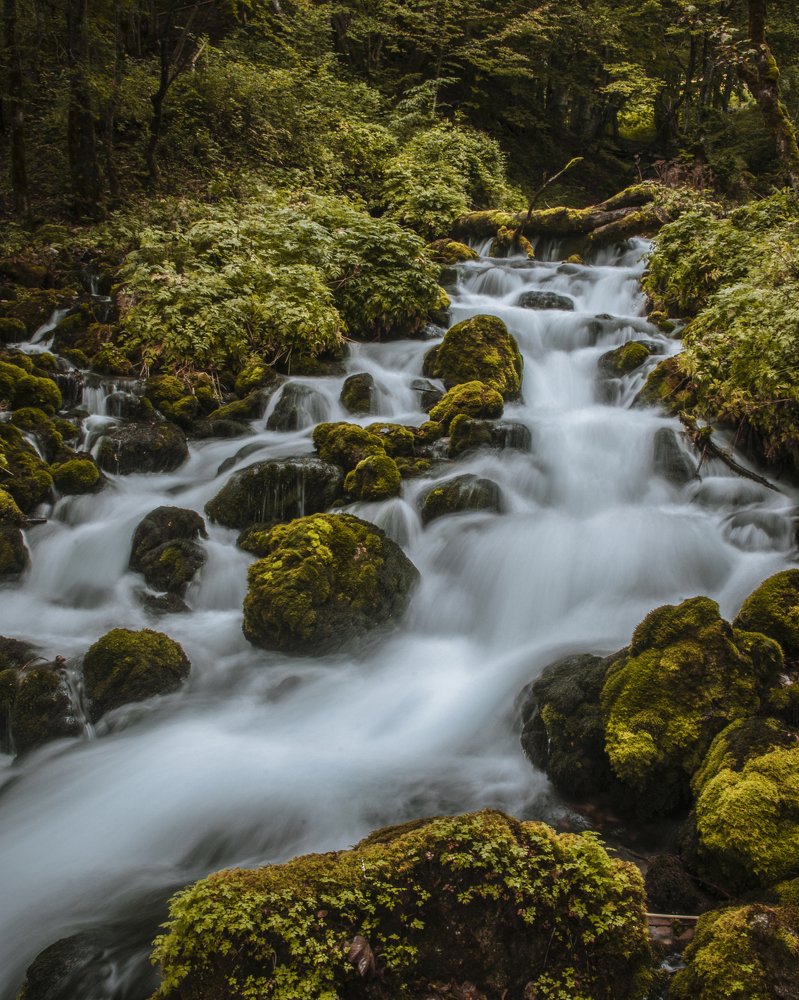 Фотография автора Даниил Третьяков