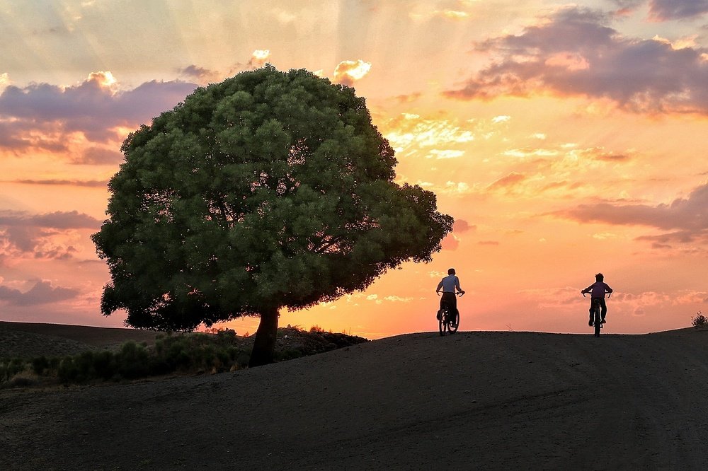 Photograph by ali razaviyan
