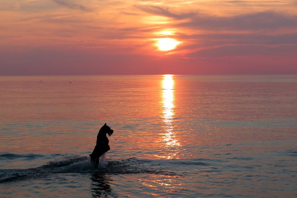 Фотография автора Ольга Завадилика