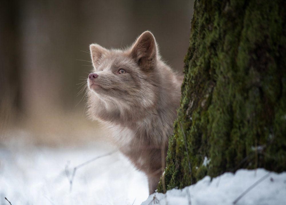 Photograph by Андрей Ершов