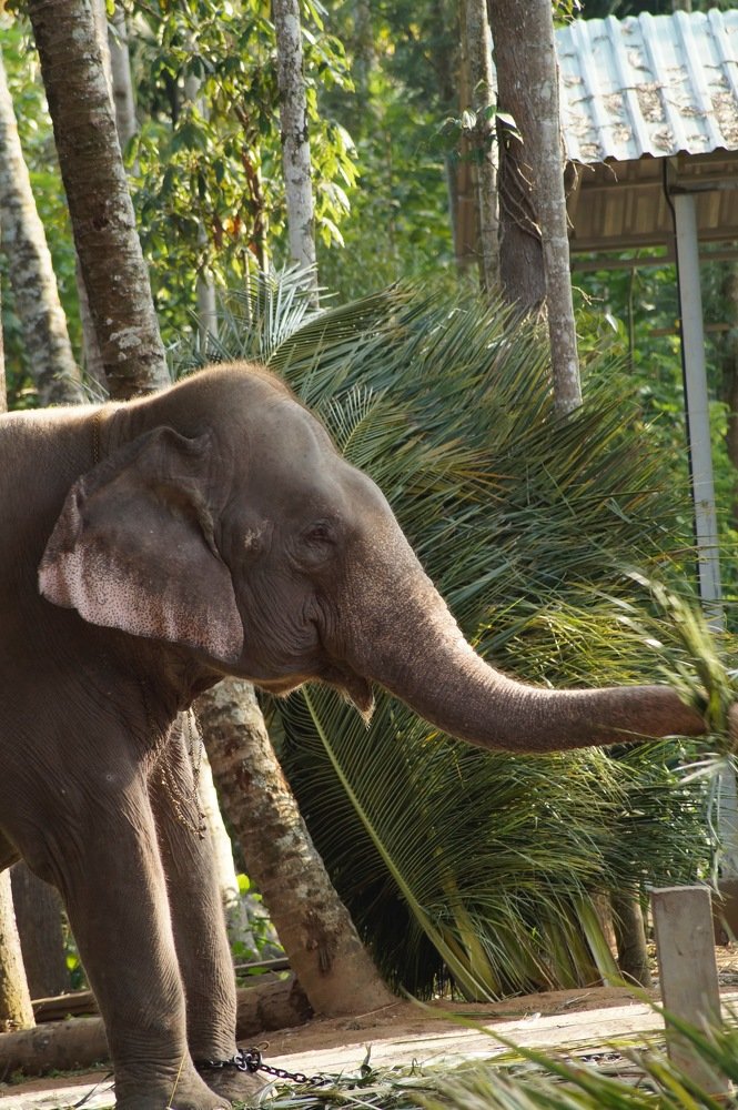 Photograph by Ambewadikar sourabh