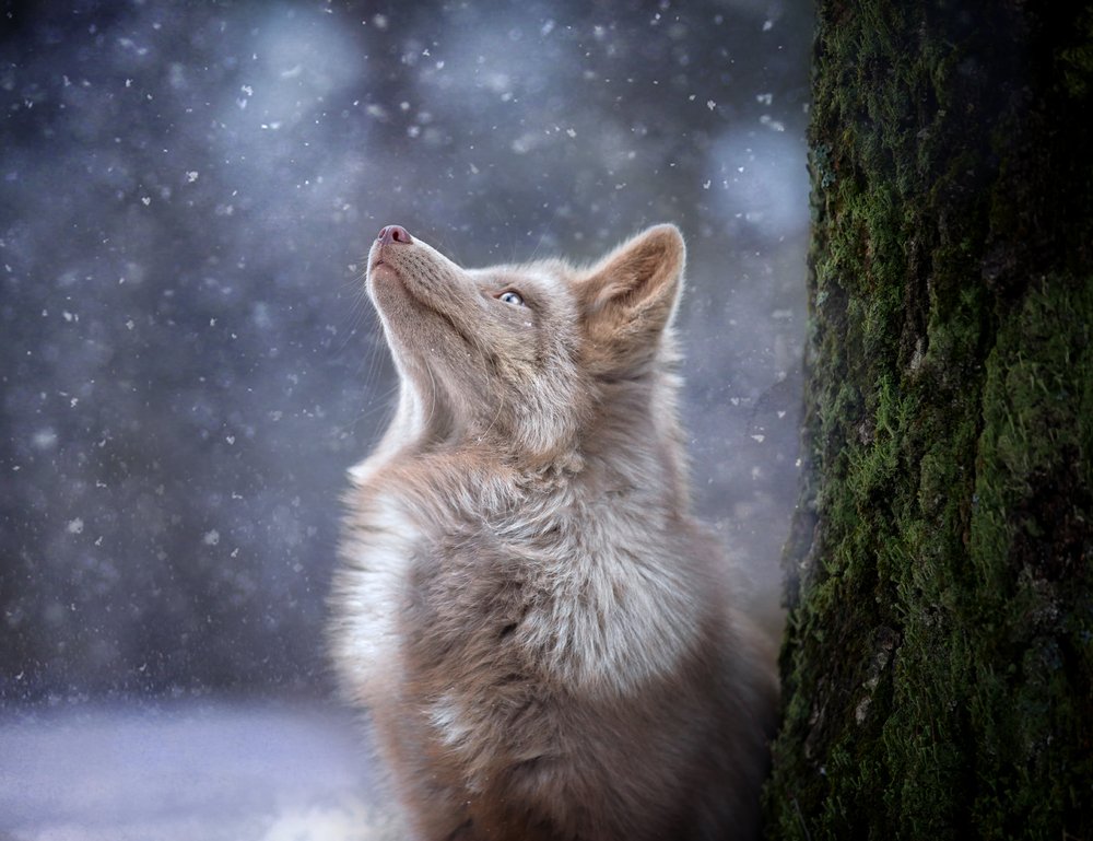 Photograph by Андрей Ершов