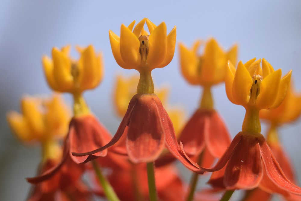 Photograph by Mihaela