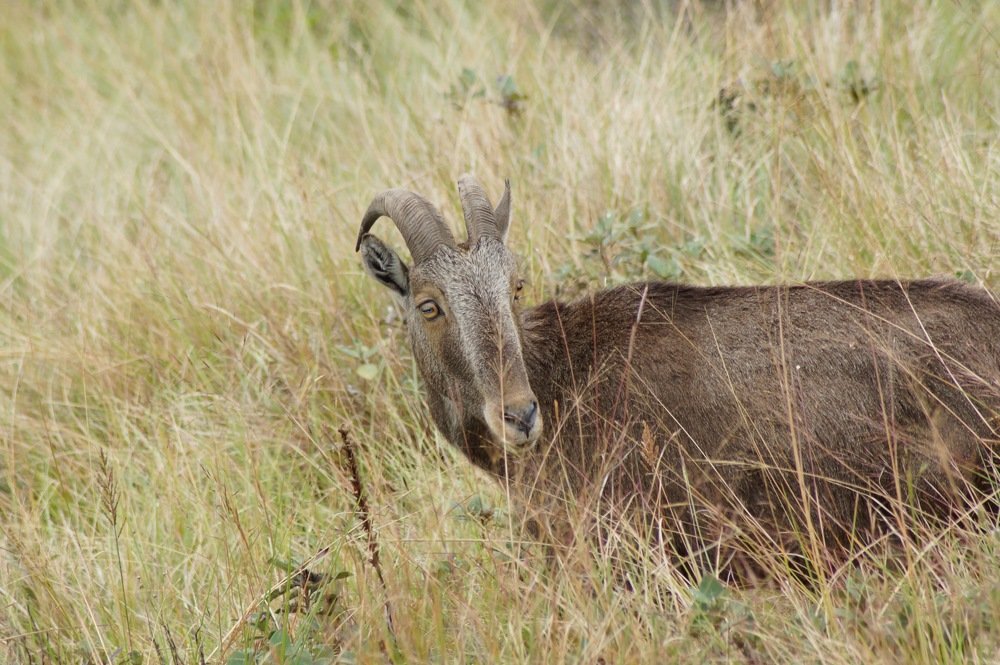 Photograph by Ambewadikar sourabh