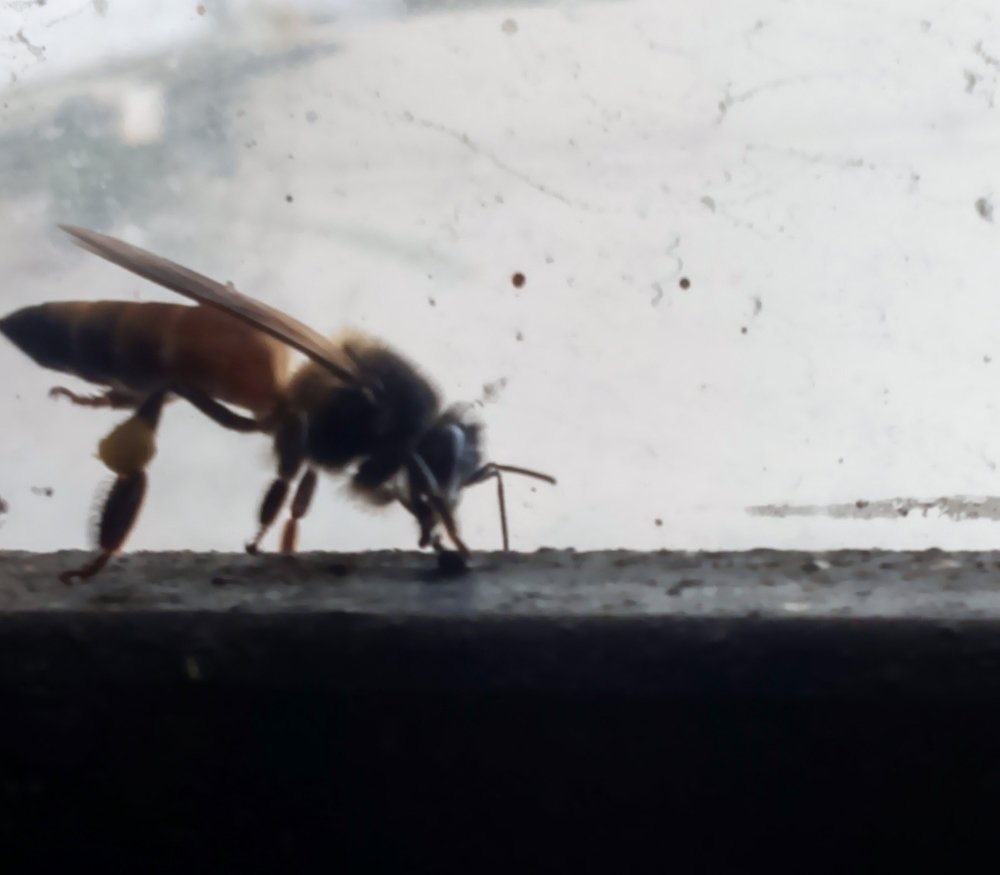 Photograph by Ambewadikar sourabh