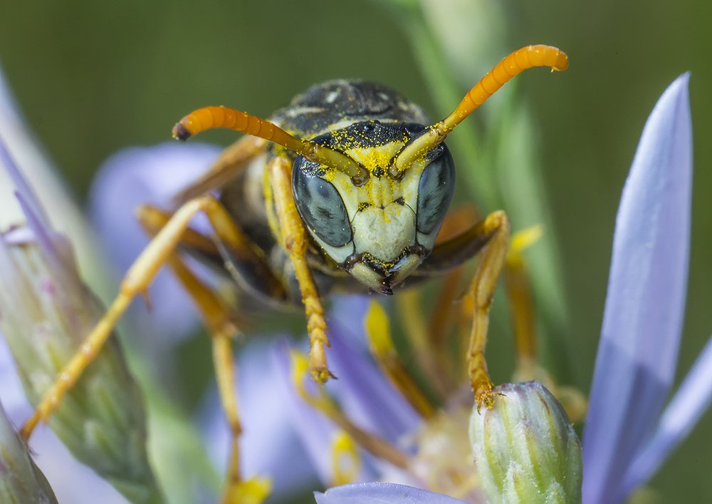 Photograph by Владимир Богданов