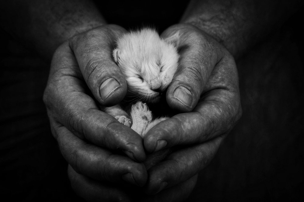 Photograph by Светлана Воскресенская