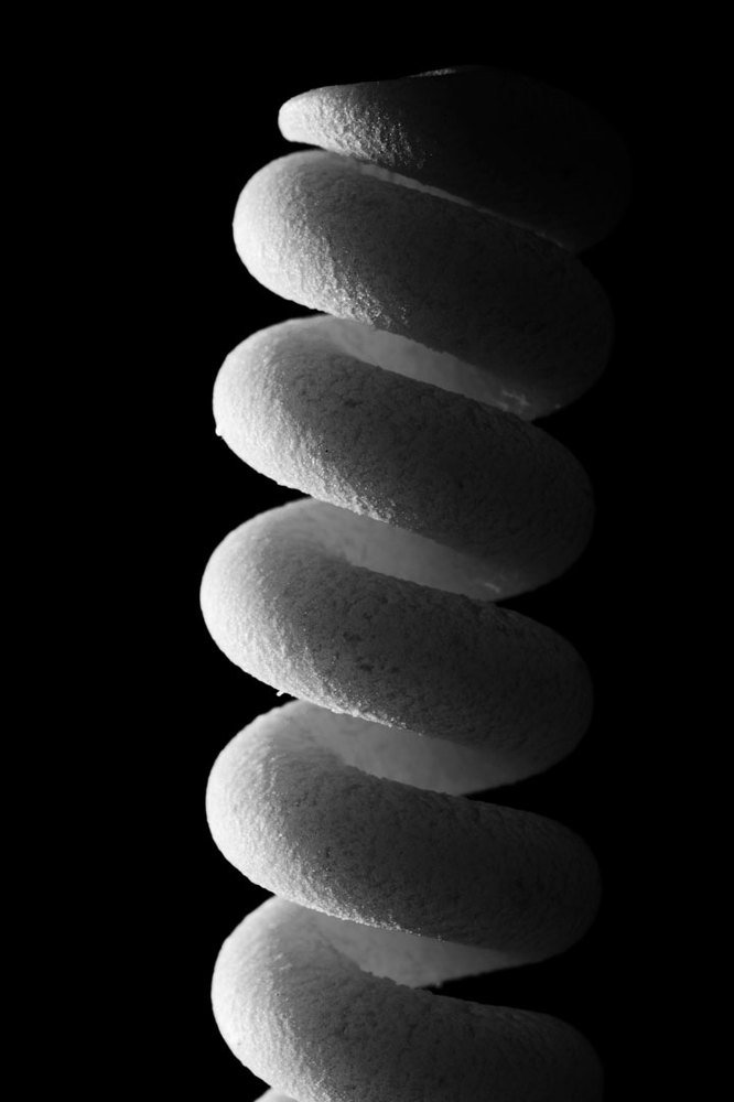 Photograph by Sascha Fiori
