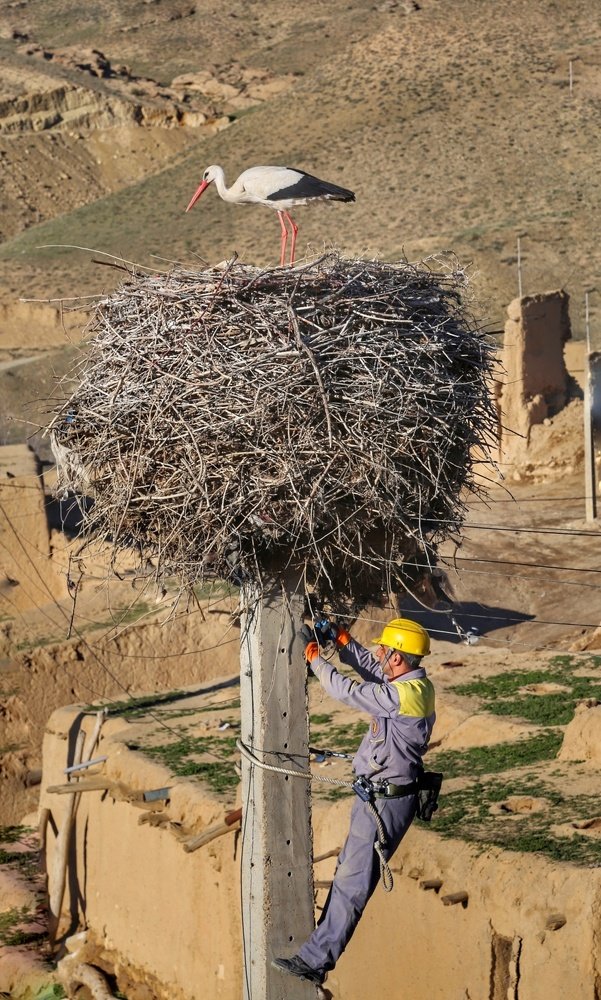 Photograph by ali razaviyan