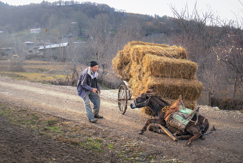 Photograph by Ramazan Yıldırım