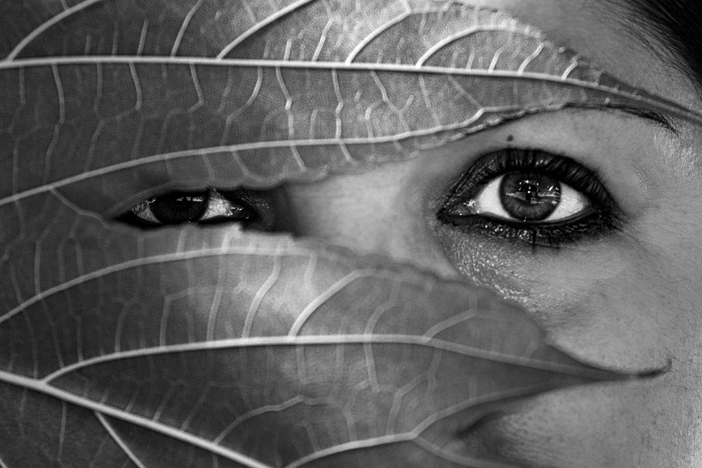 Photograph by Sascha Fiori