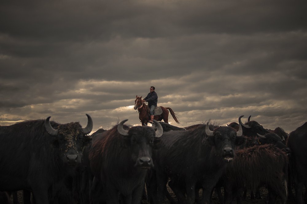 Photograph by Ramazan Yıldırım