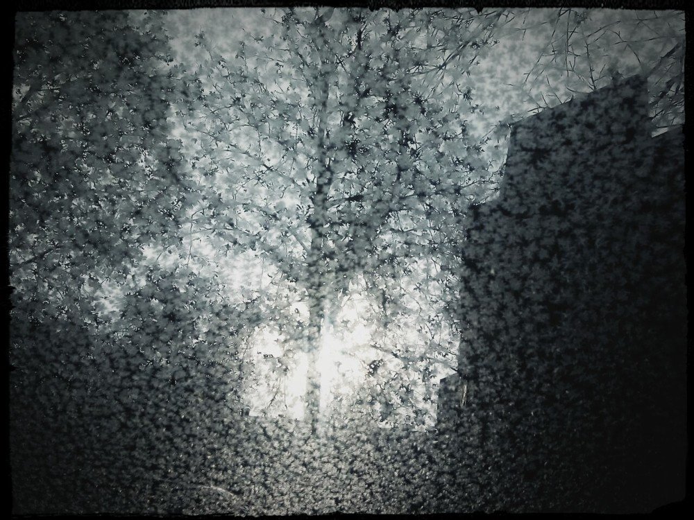 Photograph by Sanja Dabić