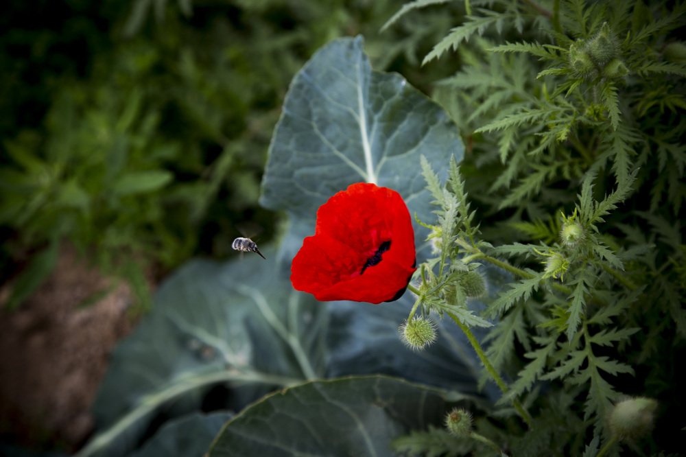 Photograph by Рустам Маилов