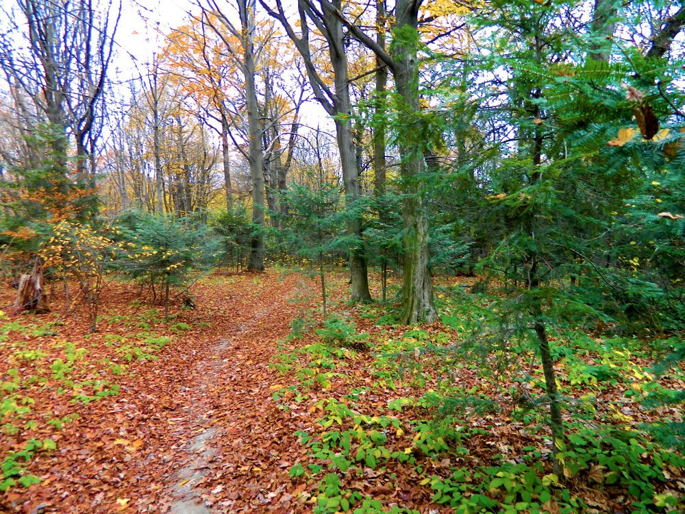 Photograph by Сергей Рапопорт