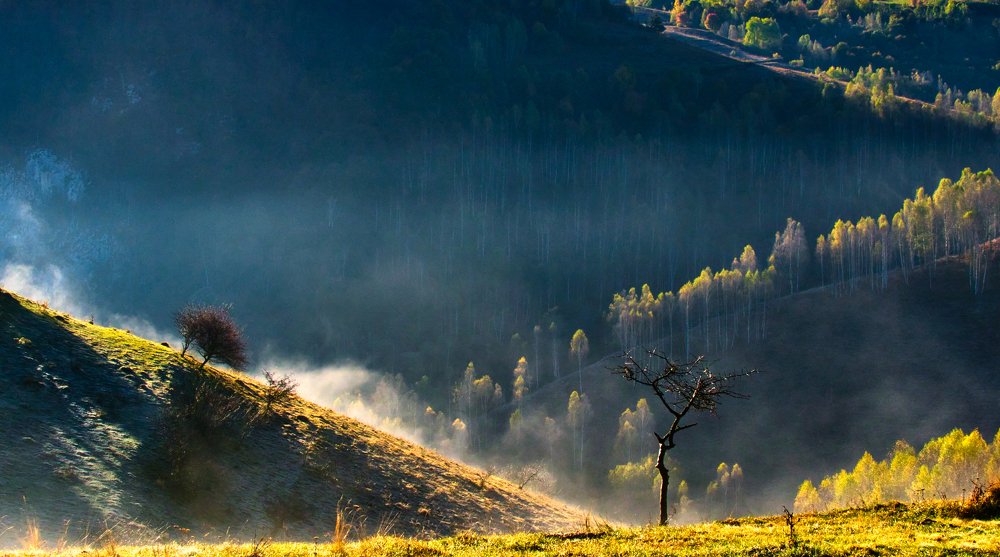 Photograph by Adrian Adi Gli