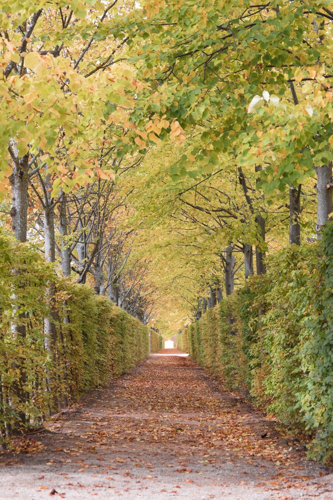 Photograph by Mihaela