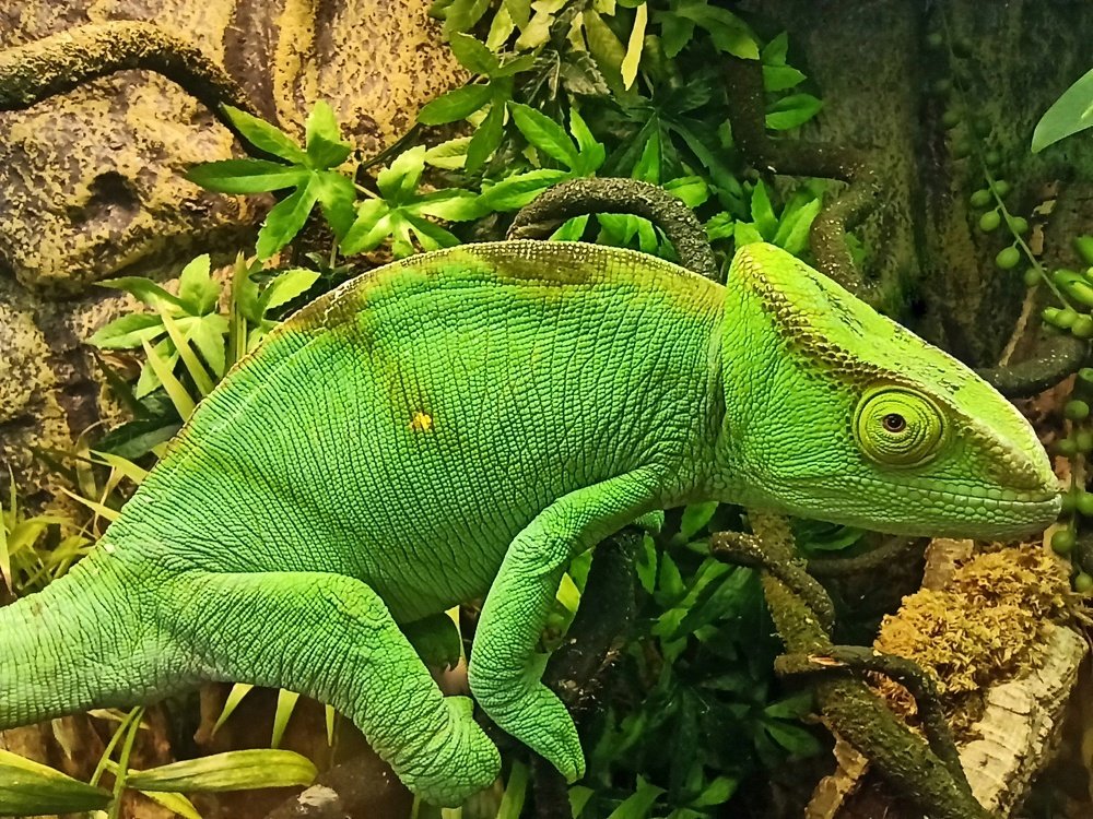 Photograph by Сергей Лобозов