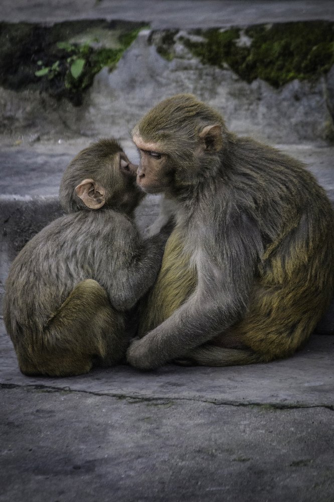 Photograph by SANDIP BANERJEE
