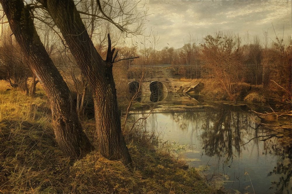 Photograph by вадим демьянов