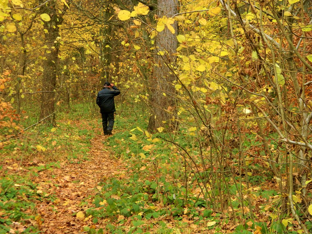 Photograph by Сергей Рапопорт