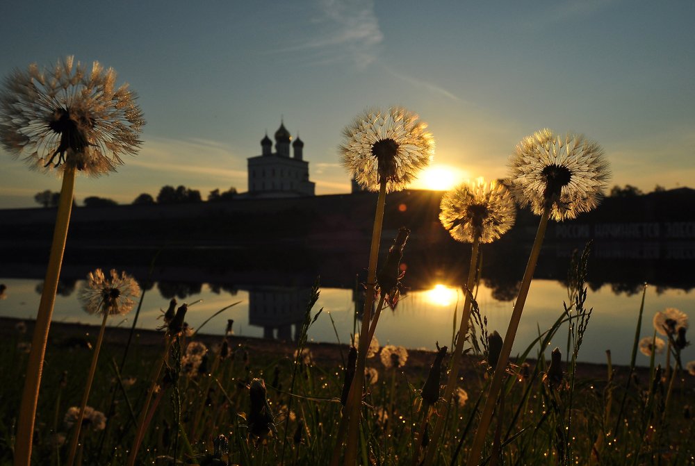 Photograph by 