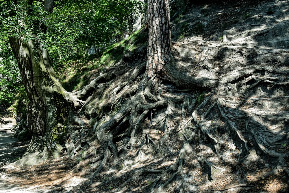 Photograph by Наталия Березина