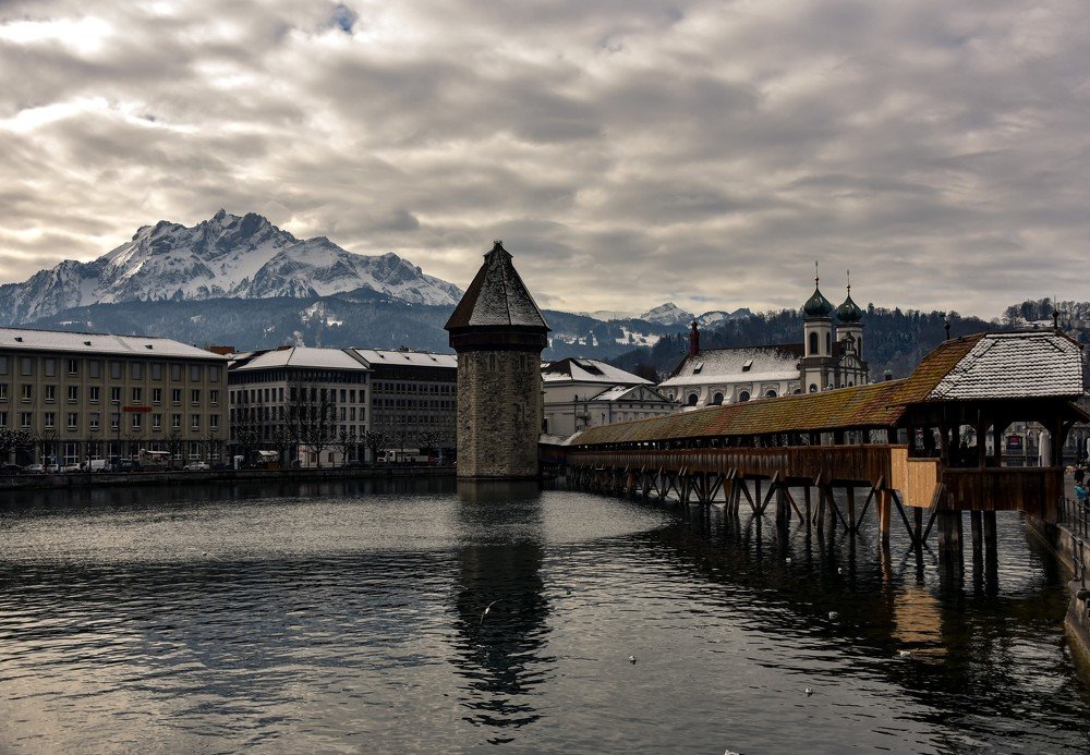 Люцерн зимой