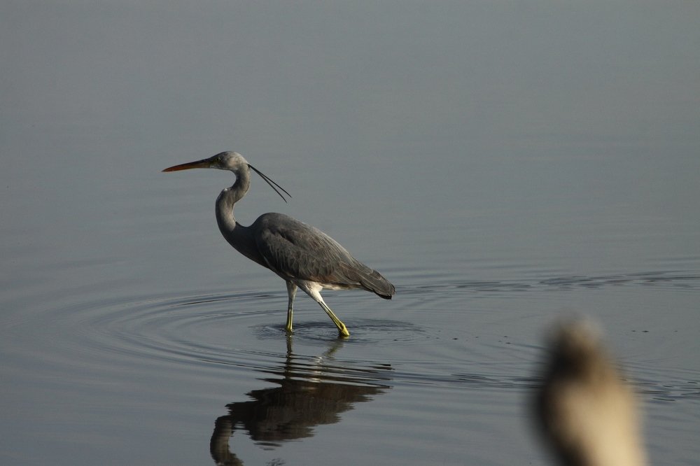 Photograph by Сергей Ножнин
