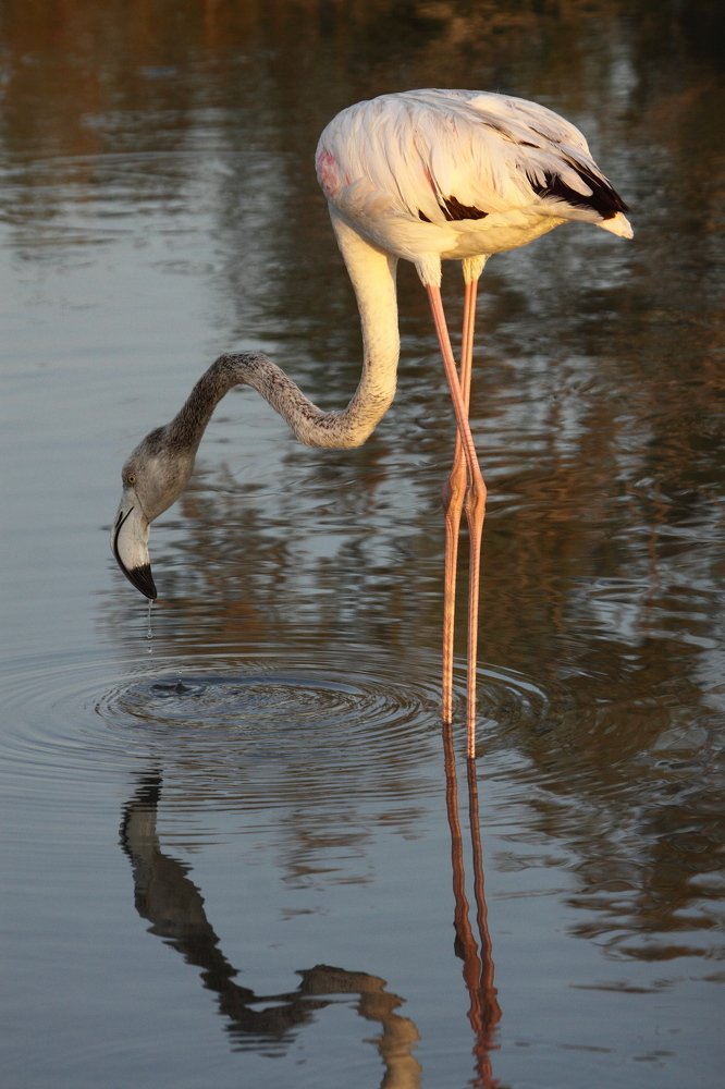 Photograph by Сергей Ножнин